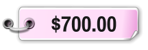 $700.00